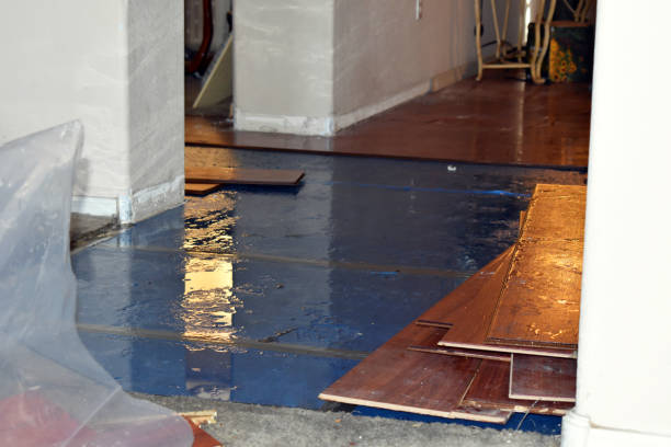 Professional Flood Damage Restoration technician working in Celina, TX